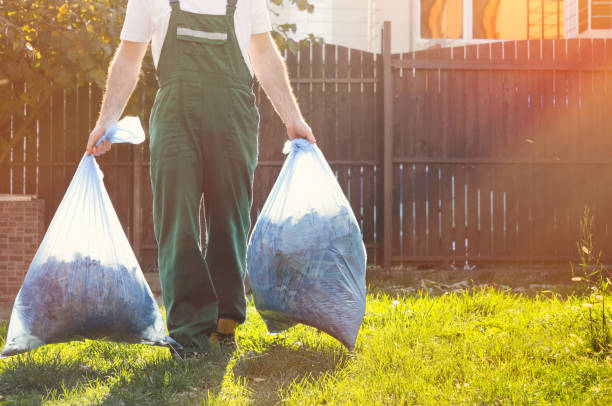 Best Basement Cleanout  in Fort Belknap Agency, MT